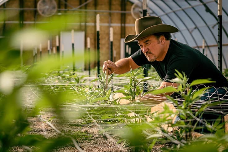 Discovery Premieres New Reality Series ‘Growing Belushi,’ Documenting Jim Belushi’s Oregon Cannabis Farm 